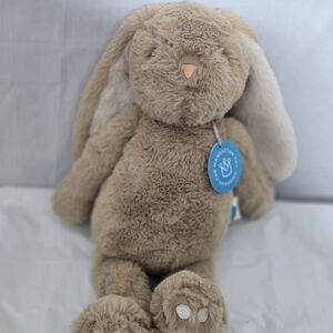 Tan Plush Teddy Bear with Classic Features